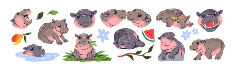 cute baby hippo set. funny pygmy hippopotamus has fun, sleeps, eats watermelon. happy plump african 