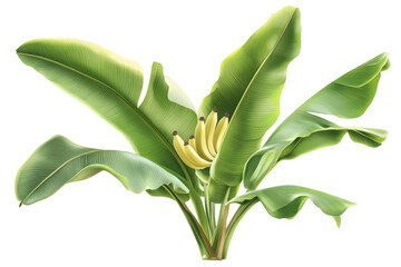 Aufkleber - A large green leafy plant with a long stem. The plant is the main focus of the image ,Isolated on transparent background