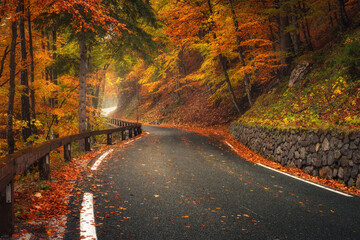 Wall Mural - road with fallen leaves in beautiful forest in golden autumn