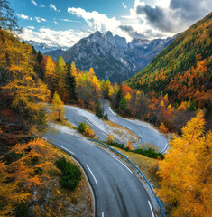 Wall Mural - Aerial view of mountain road and orange forest in golden autumn