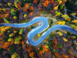 Wall Mural - aerial view of wet curvy road and orange forest in golden autumn