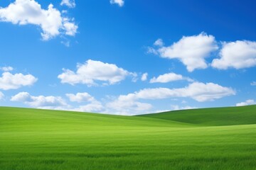 Poster - Green plain landscape sky backgrounds.