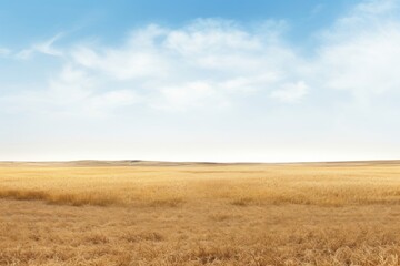 Poster - PNG Plain landscape nature outdoors horizon.