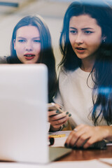 Wall Mural - Skilled caucasian women reading important news about antivirus application on laptop computer, young concentrated female connected to free wifi internet on modern netbook for watching webinar online