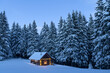 © Ivan Kmit - Fairy Christmas landscape with glowing wooden cabin in snowy forest. Cozy house in winter mountains