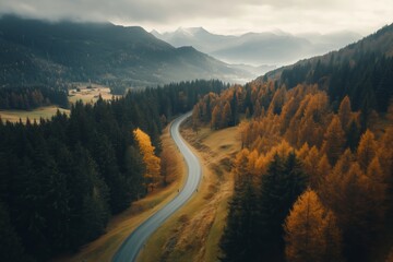 Canvas Print - Aerial view of a winding road through a forest in the mountains, near Tatra National Park in Switzerland. High-resolution photography, insanely detailed