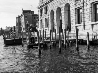 Black and white photo of docks in Venice.