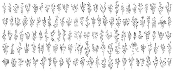 wild plants and wild flowers, large collection of hand drawn flowers in monoline doodle style