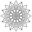 © design master - Intricate Mandala with Radiating Petals and Leaf Motifs - Detailed Linework Vector