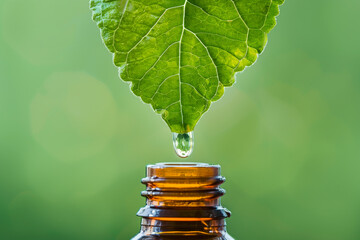 a drop of essential oil is dripping from the leaf onto an amber bottle against a green background.