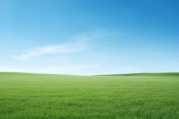 Canvas Print - A grassy field with clear blue sky backgrounds landscape outdoors.