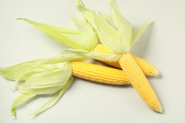 Sticker - Fresh ripe corncob with green husks on light grey background