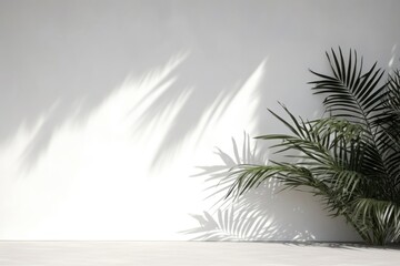 Sticker - A white wall with green palm leaves and shadows tree vegetation arecaceae.