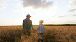 © julia_diak - A silhouette of a male farmer in a plaid shirt holding his son hand. Father and son farmers standing in a ripe wheat field before the harvest