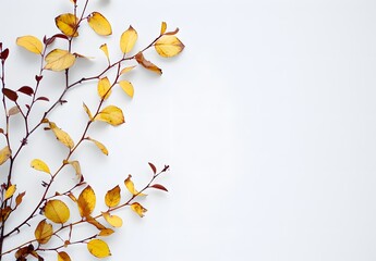 Canvas Print - Minimalist Autumn Leaves on White Background