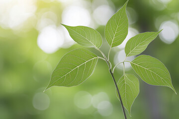 Fresh green leaves symbolize biodiversity and conscious organic lifestyle, thriving in natural environment. Their vibrant color and intricate details reflect beauty of nature