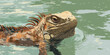 © thecreativesupplies - Iguana swimming in a river with its head above water, animal illustration