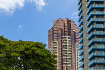 hotels, condominiums and skyscrapers in the city skyline with lush green trees, blue sky and clouds 