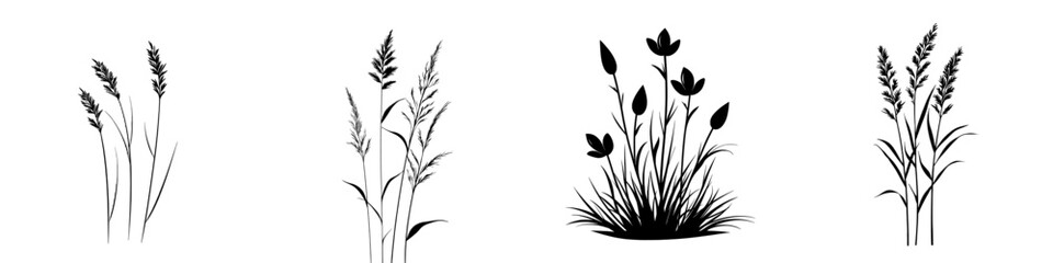 Modern graphic design illustration of grass with thin lines