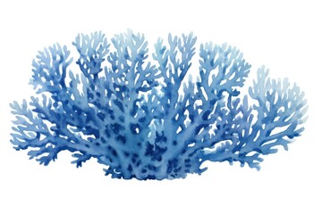 Poster - Pretty blue coral outdoors nature water.