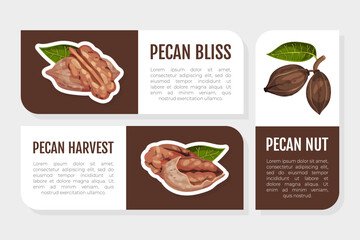 Poster - Pecan Nut Label Design with Kernel and Shell Vector Template