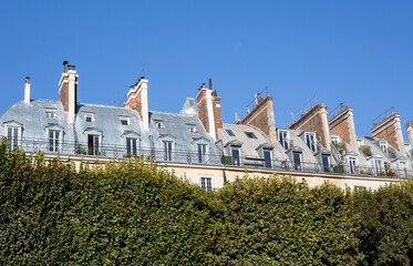 Parisian Rooftops