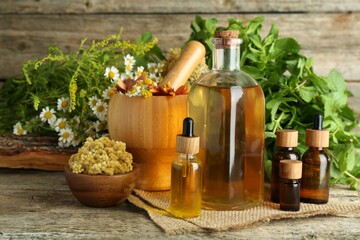 Wall Mural - Tinctures in bottles, medicinal herbs and mortar with pestle on wooden table