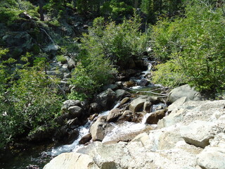 waterfall in the forest