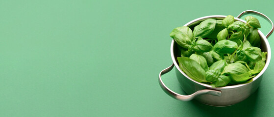 Cooking pot with fresh green basil on color background