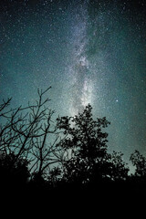Wall Mural - Space with galaxy . Milky way on the blue sky .Dark and cold night at summer . Trees on the backgound with stars . Power lines in the night , powerstation and galaxy