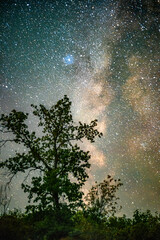 Wall Mural - Space with galaxy . Milky way on the blue sky .Dark and cold night at summer . Trees on the backgound with stars . Power lines in the night , powerstation and galaxy