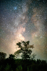 Wall Mural - Space with galaxy . Milky way on the blue sky .Dark and cold night at summer . Trees on the backgound with stars . Power lines in the night , powerstation and galaxy