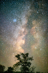 Wall Mural - Space with galaxy . Milky way on the blue sky .Dark and cold night at summer . Trees on the backgound with stars . Power lines in the night , powerstation and galaxy