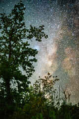 Wall Mural - Space with galaxy . Milky way on the blue sky .Dark and cold night at summer . Trees on the backgound with stars . Power lines in the night , powerstation and galaxy