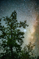 Wall Mural - Space with galaxy . Milky way on the blue sky .Dark and cold night at summer . Trees on the backgound with stars . Power lines in the night , powerstation and galaxy