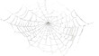 © Krtola  - spider web on transparent background
