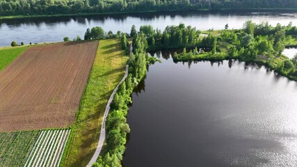 Wall Mural - lake in the park