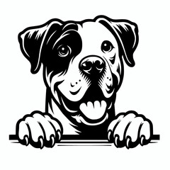 Wall Mural - Peeking dogo argentino dog vector silhouette illustration, dog breed clip art design element outline