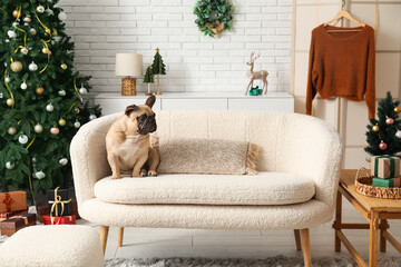 Wall Mural - Cute dog in living room on Christmas eve