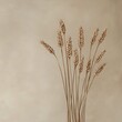 © ProStockGallery - Dried Wheat Stalks on Beige Background - Minimalist Nature Still Life Photography