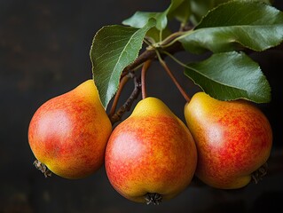 Wall Mural - Ripe Yellow Pears with Green Leaves on a Dark Background