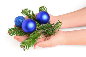 Poster - Female hands with Christmas tree branches and balls on white background