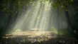 © Jakkarin - Tranquil Forest: Sunlight Filtering Through Trees onto Fallen Leaves