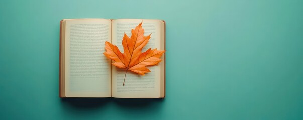 Read Book with autumn maple leaves outside,Hello Autumn,green grass and books,An open page of a book and an autumn maple leaf,school education concept,back to school,Canada Day,fall season.