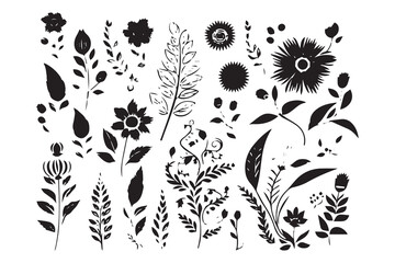 Wall Mural - Botanical flowers silhouette