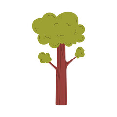 vector illustration of a tall tree with green foliage on an isolated background.