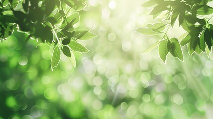 Canvas Print - Green_Spring_Natural_Dreamy_Light_Backgrounds