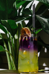 Refreshing purple and green summer cocktail standing near tropical plant