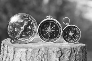 Wall Mural - classic navigation compasses on natural background