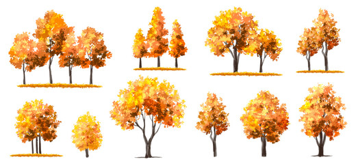 Wall Mural - vertor set of autumn tree,plants side view for landscape elevation and section,eco environment conce